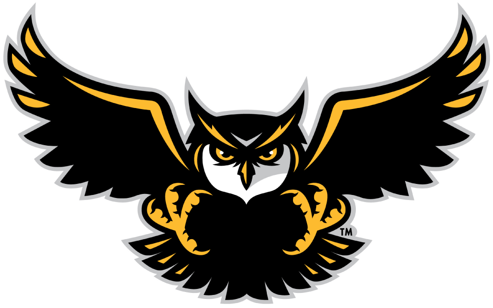 Kennesaw State Owls 2012-Pres Alternate Logo v4 DIY iron on transfer (heat transfer)